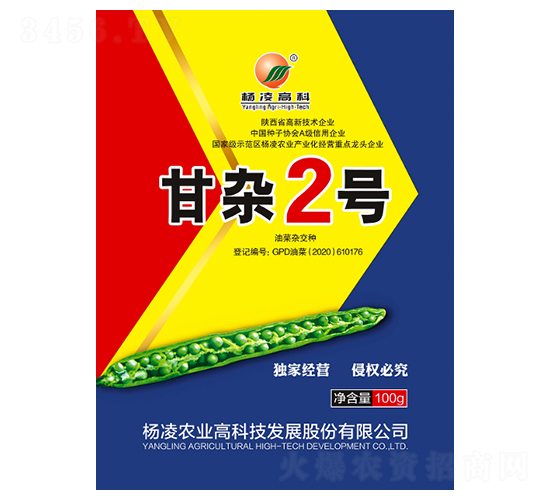 甘雜2號(hào)-油菜種子-秦豐種業(yè)