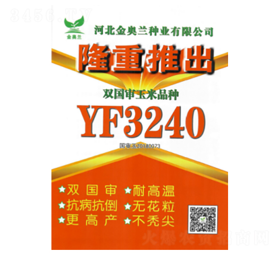 YF3240-玉米種子-秦豐種業(yè)