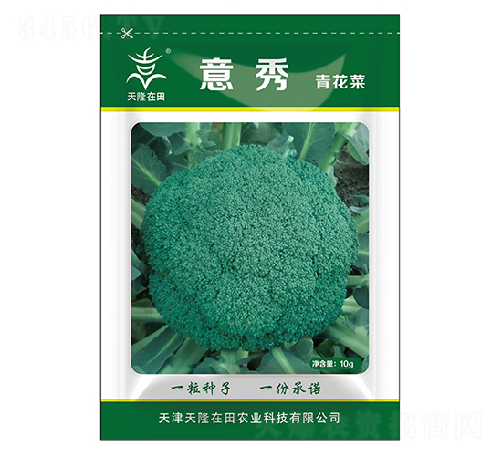 青花菜種子-意秀-天隆農(nóng)業(yè)
