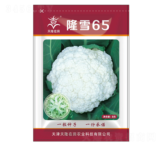 隆雪65-天隆在田-天隆農(nóng)業(yè)