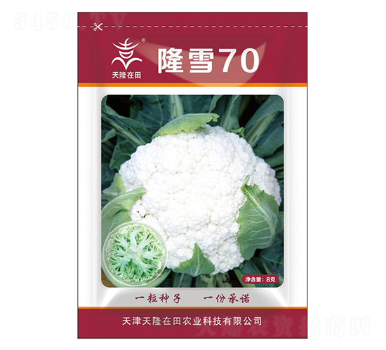 隆雪70-天隆在田-天隆農(nóng)業(yè)