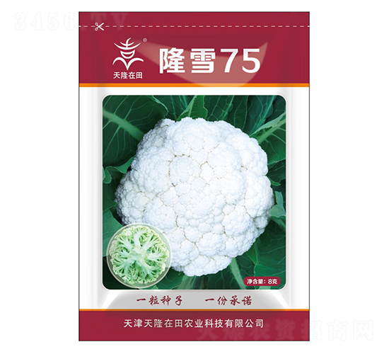 隆雪75-天隆在田-天隆農(nóng)業(yè)