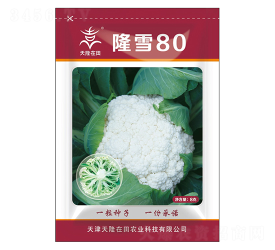 隆雪80-天隆在田-天隆農(nóng)業(yè)