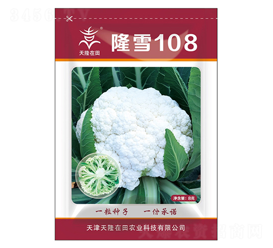 隆雪108-天隆在田-天隆農(nóng)業(yè)