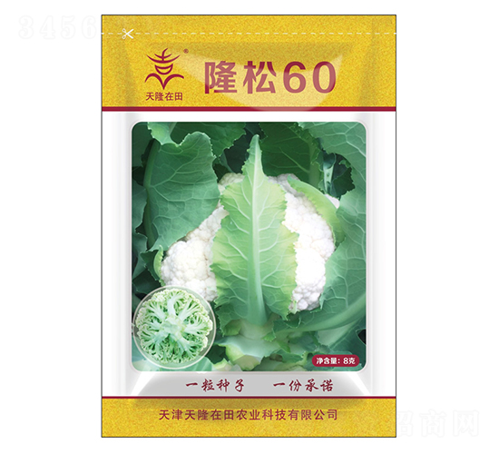 隆松60-天隆在田-天隆農(nóng)業(yè)