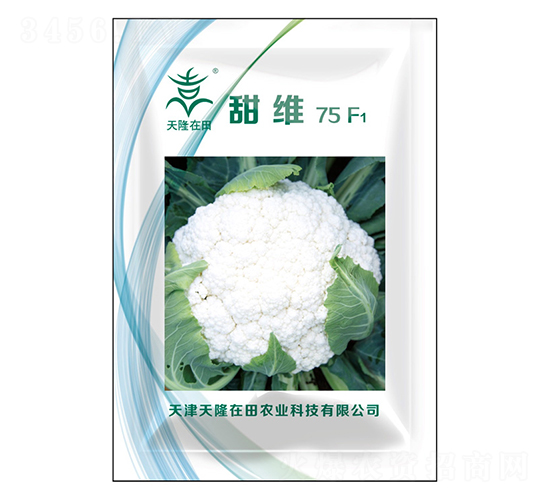 甜維75F1-天隆在田-天隆農(nóng)業(yè)