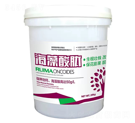 �������ě_ʩ��-�̶�����