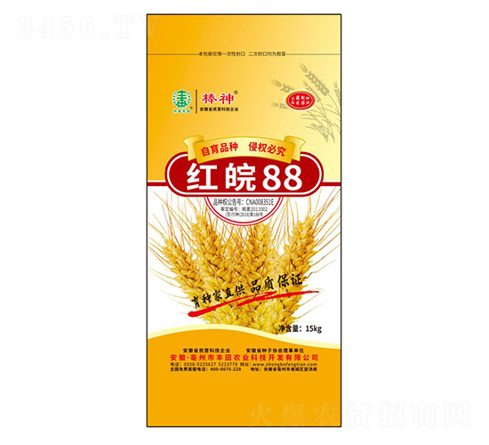 紅皖88小麥種子-豐田農(nóng)業(yè)