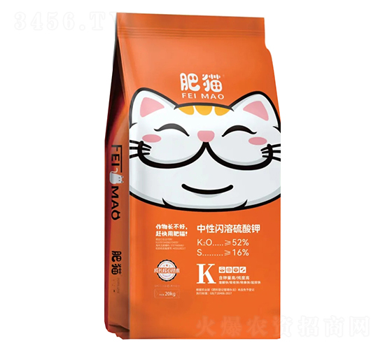 �����W�������-��؈�r(n��ng)�I(y��)