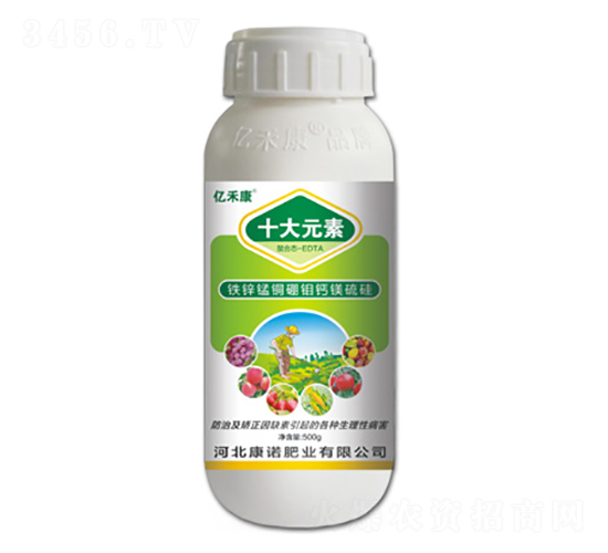 �F�\�i�~���f�}�V���-ʮ��Ԫ��-�|�̿�-���Z�ʘI(y��)