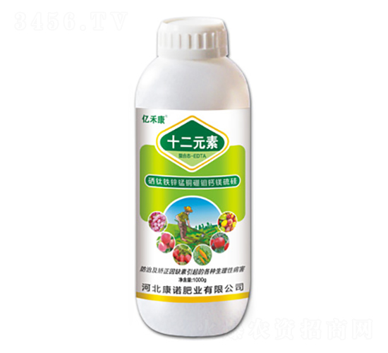 ����F�\�i�~���f�}�V���-ʮ��Ԫ��-�|�̿�-���Z�ʘI(y��)