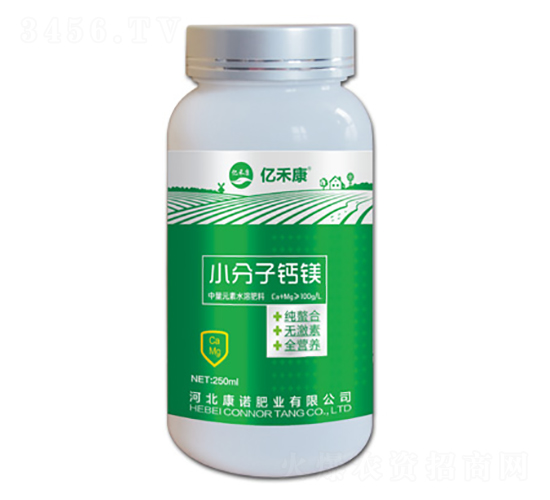 С�����}�V-�|�̿�-���Z�ʘI(y��)