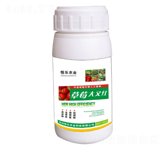草莓大又紅-恒樂(lè)農(nóng)業(yè)