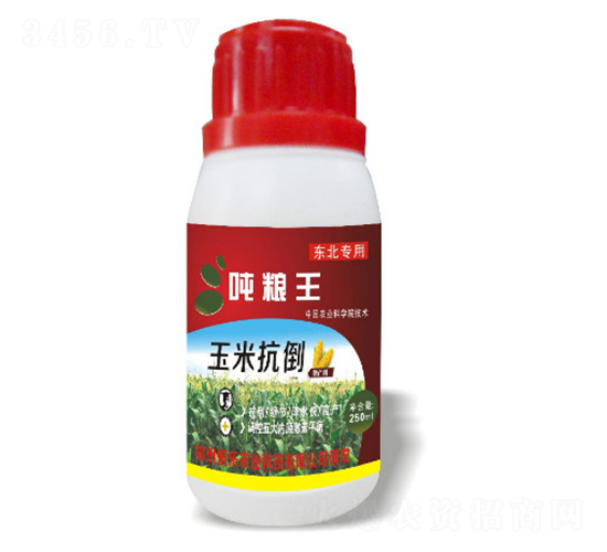 玉米抗倒噸糧王-恒樂農(nóng)業(yè)