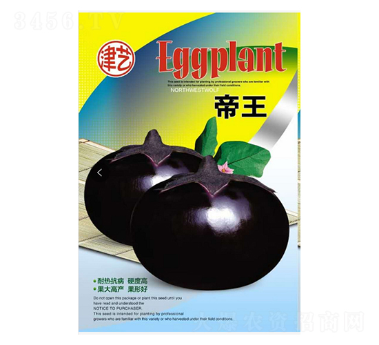 茄子種子-帝王-邯豐農(nóng)業(yè)