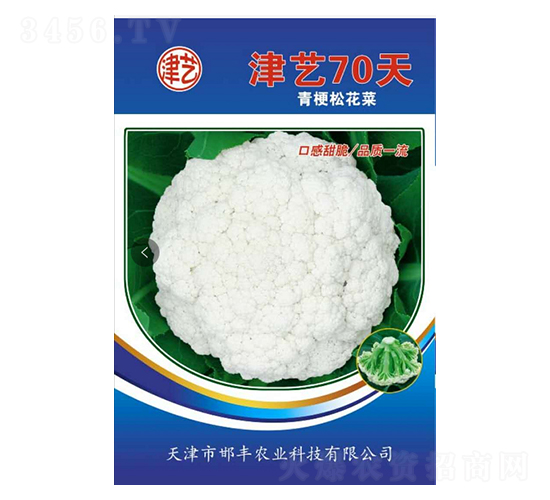 花菜種子-津藝70天-邯豐農(nóng)業(yè)