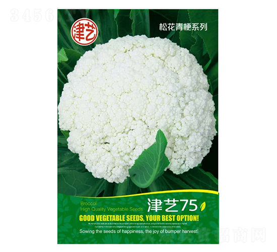 花菜種子-津藝75-邯豐農(nóng)業(yè)