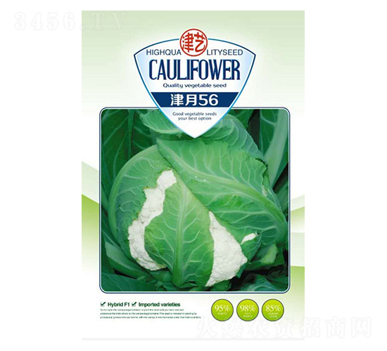 花菜種子-津月56-邯豐農(nóng)業(yè)