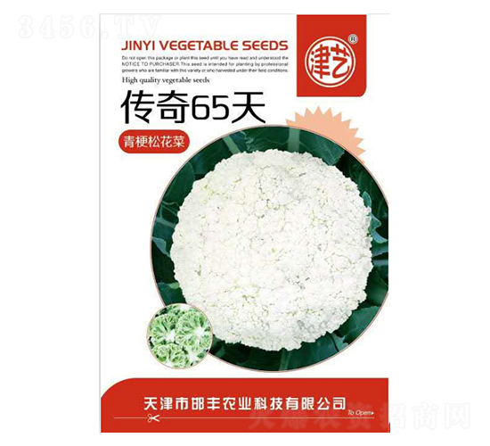 花菜種子-傳奇65天-邯豐農(nóng)業(yè)
