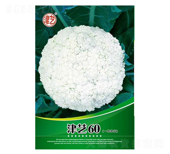 花菜種子-津藝60-邯豐農(nóng)業(yè)