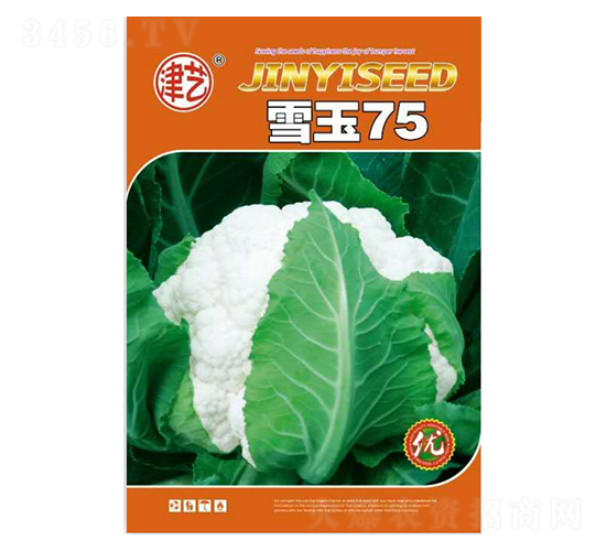 ���˷N��-ѩ��75-���S�r(n��ng)�I(y��)