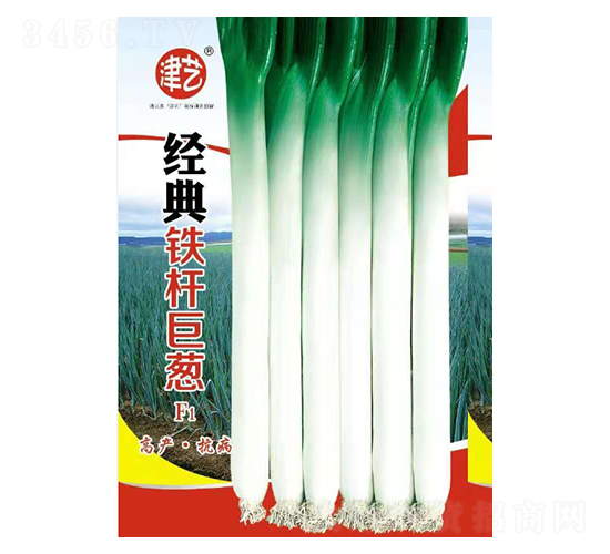 大蔥種子-經(jīng)典鐵桿巨蔥-邯豐農(nóng)業(yè)