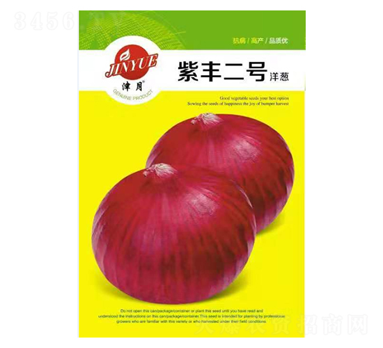 洋蔥種子-紫豐2號-邯豐農(nóng)業(yè)