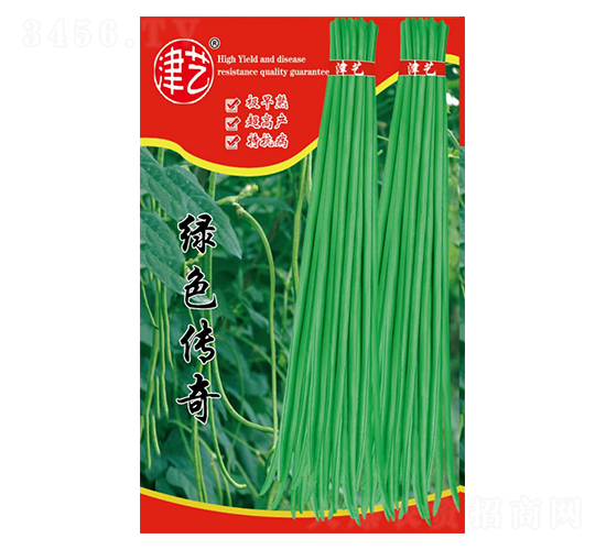 豆角種子-綠色傳奇-邯豐農(nóng)業(yè)
