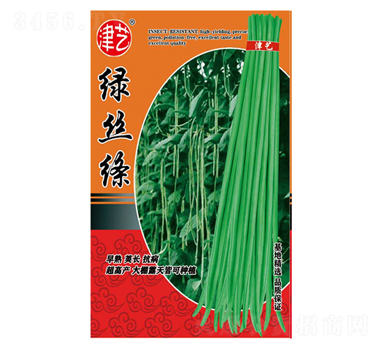 豆角種子-綠絲絳-邯豐農(nóng)業(yè)