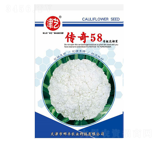 花菜種子-傳奇58-邯豐農(nóng)業(yè)