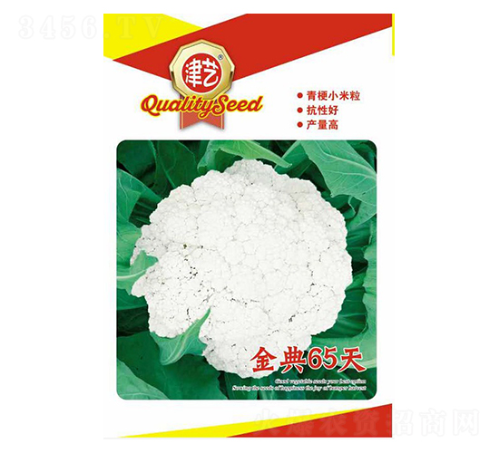 花菜種子-金典65天-邯豐農(nóng)業(yè)
