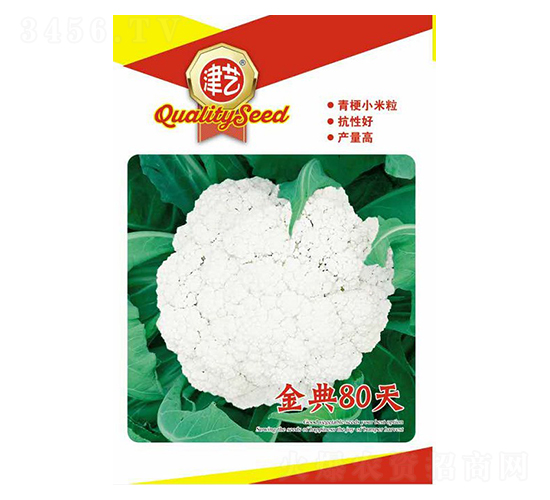 花菜種子-金典80天-邯豐農(nóng)業(yè)