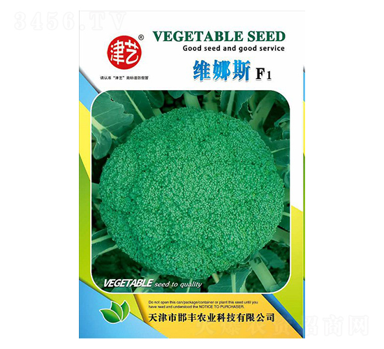 西蘭花種子-維納斯-邯豐農(nóng)業(yè)