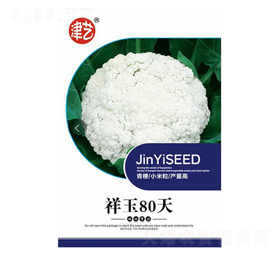 花菜種子-祥玉80天-邯豐農(nóng)業(yè)