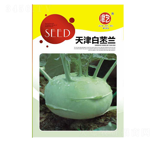 苤藍(lán)種子-天津白苤藍(lán)-邯豐農(nóng)業(yè)