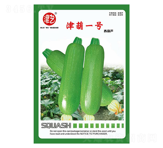 西葫蘆種子-津葫一號-邯豐農(nóng)業(yè)