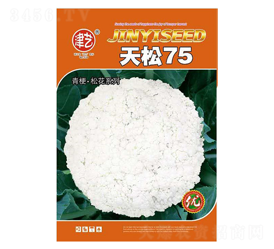 花菜種子-天松75-邯豐農(nóng)業(yè)