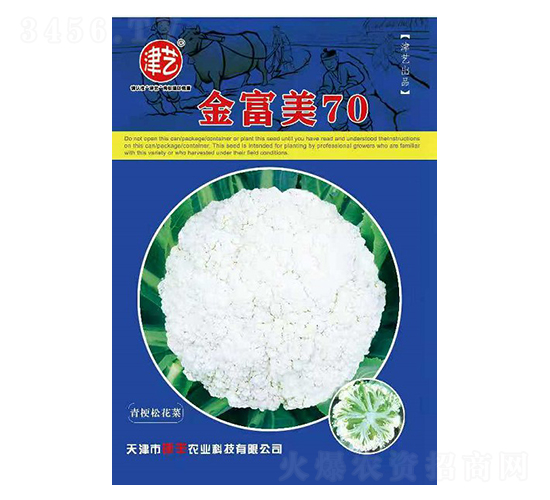 花菜種子-金富美70-邯豐農(nóng)業(yè)