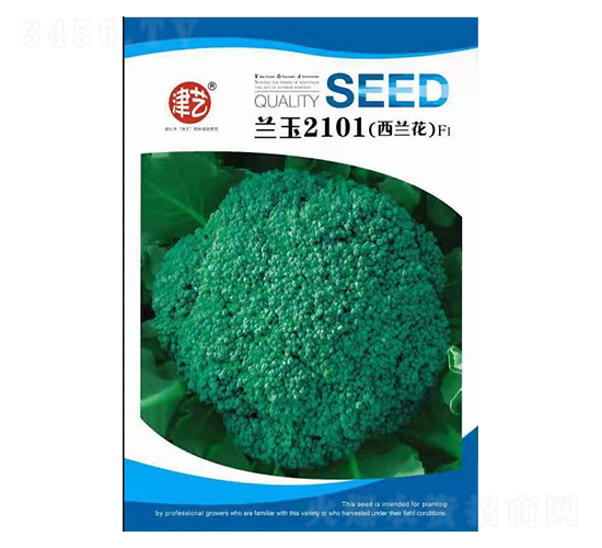 西蘭花種子-藍玉2101-邯豐農(nóng)業(yè)