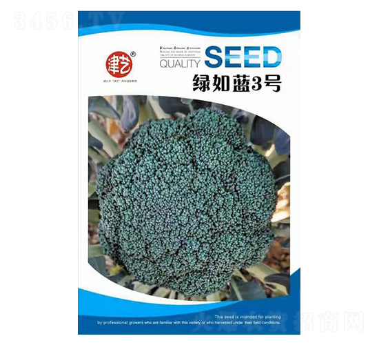西蘭花種子-綠如藍(lán)3號(hào)-邯豐農(nóng)業(yè)