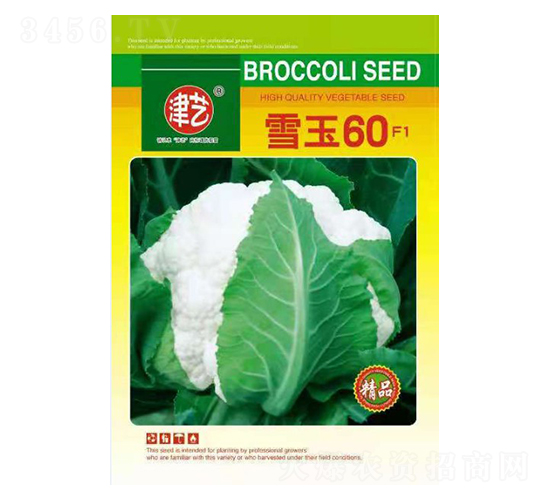 花菜種子-雪玉60-邯豐農業(yè)