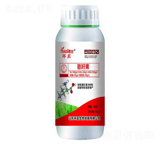 ������-�h(hu��n)�|-�е����r(n��ng)