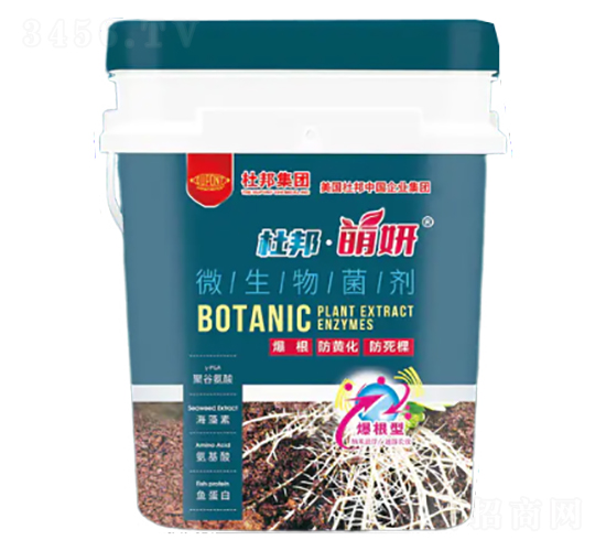 ΢�������-����-�Ű�