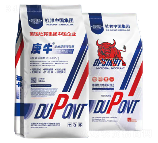 �{�����|(zh��)��Ч��-��ţ-�Ű�