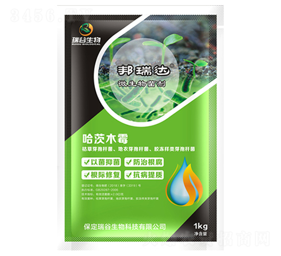 ����ľù��-�����_(d��)-�������