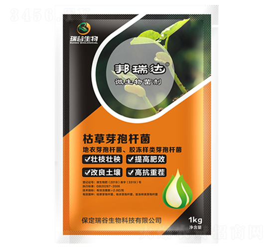 �ݲ�ѿ�ߗU��-�����_-�������