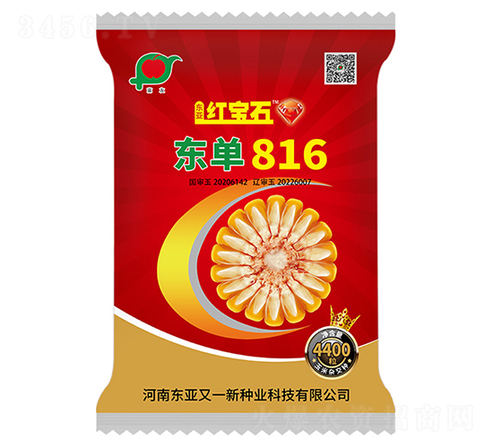 東單816-玉米種子-東亞紅寶石