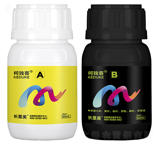 柯獨客A+B-柯依之綠