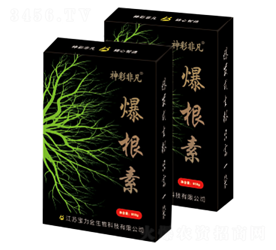 爆根素-神彩非凡-寶力金