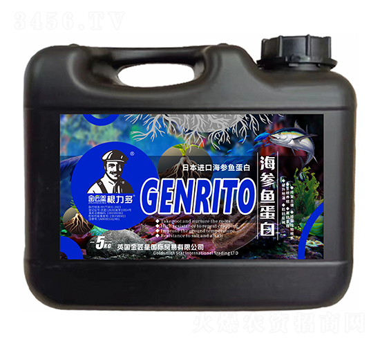 �ձ��M(j��n)�ں����~����-������-����